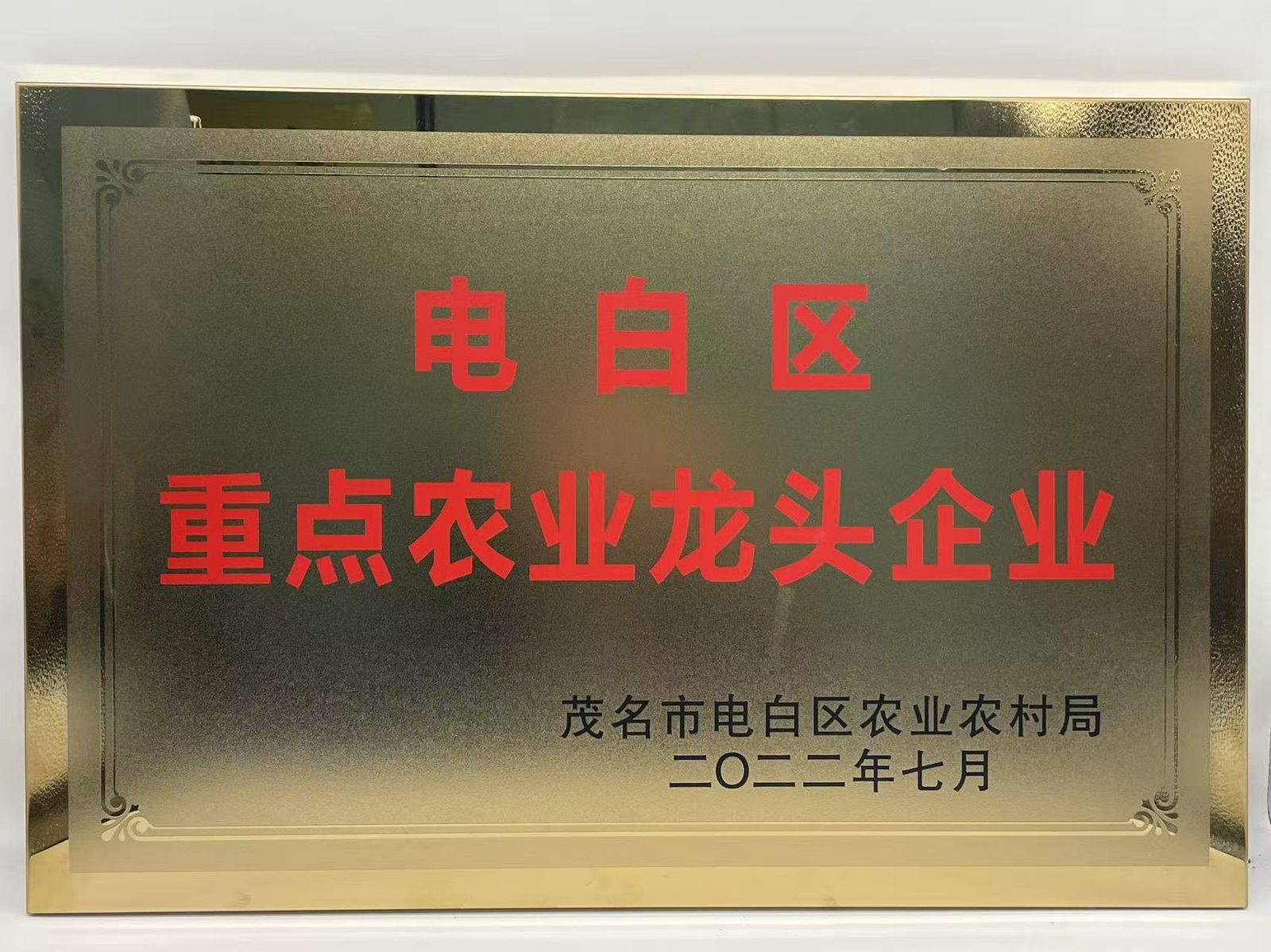 荣誉奖牌 12